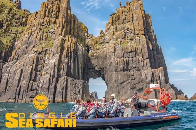 Exhilarating Rib experience - Dingle sea safari - Price and Value: Is $120 Worth It for a 12-Person RIB Safari?