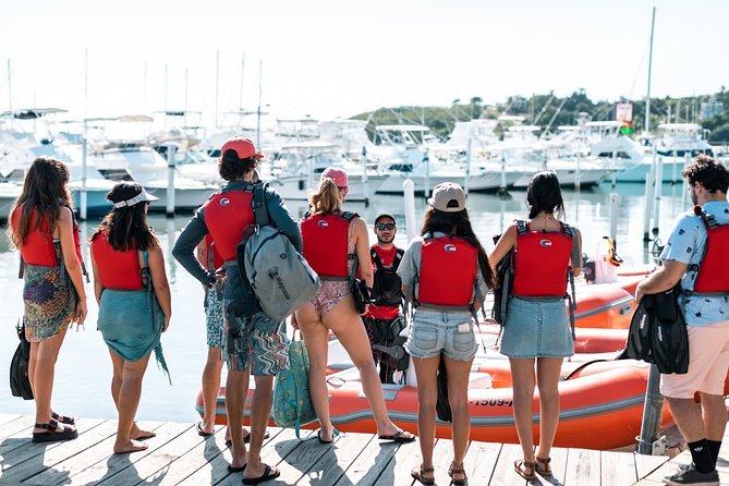 Fajardo Mini Boat Snorkel Safari - Price and value: $250 per boat (up to 2 people)