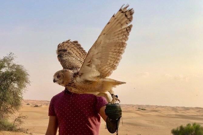 Falcon 1—Private Dubai Falconry Safari - What to Wear and Bring for a Desert Falconry Morning