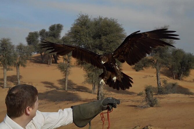 Falcon 1—Private Dubai Falconry Safari - Price and Value: Is $274 Fair for a Private Session?