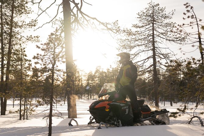 Family Snowmobile Safari in Rovaniemi - Key highlights you can plan around