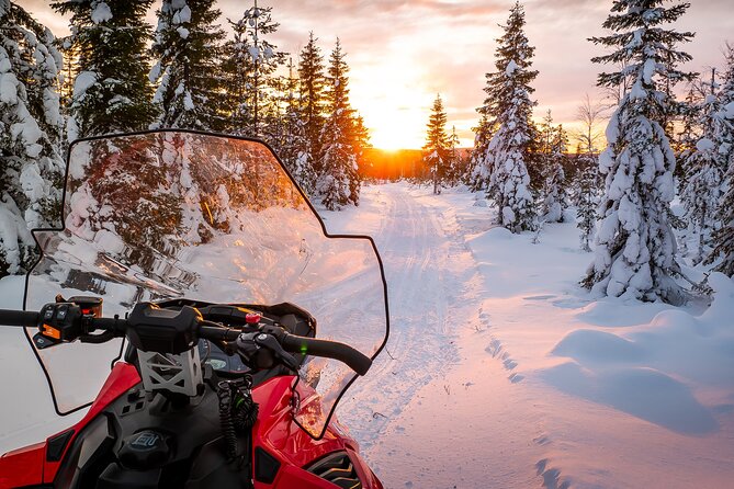 Family Snowmobile Safari in Rovaniemi - Pickup, office stop, and the winter gear that actually matters