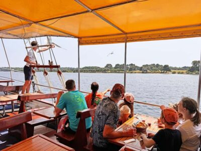 Fazana: Dolphin Finder in Brijuni islands Safari with Dinner - The “Dolphin Finder” part: how you’ll look for bottlenose dolphins