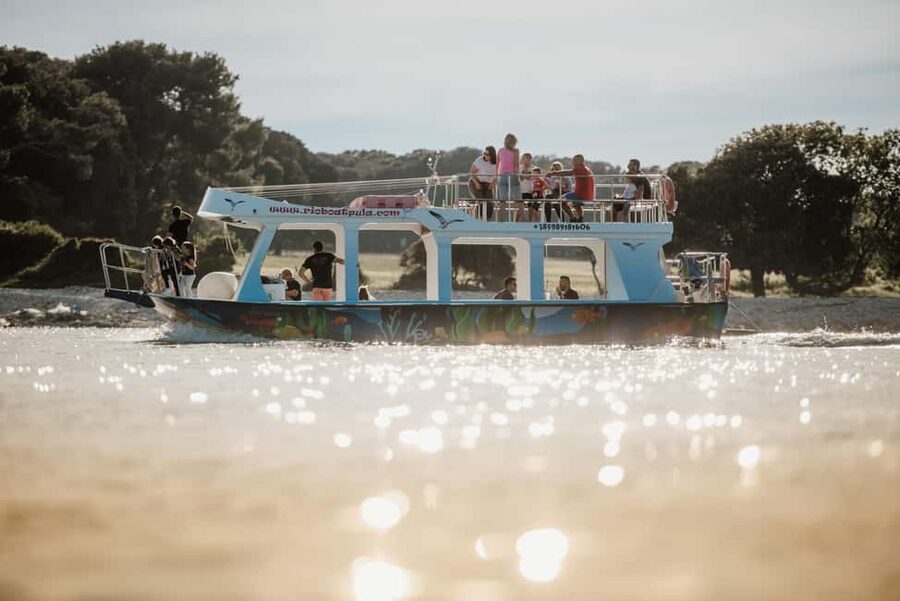 FAŽANA: DOLPHIN SAFARI - Who should book this dolphin safari—and who should skip it