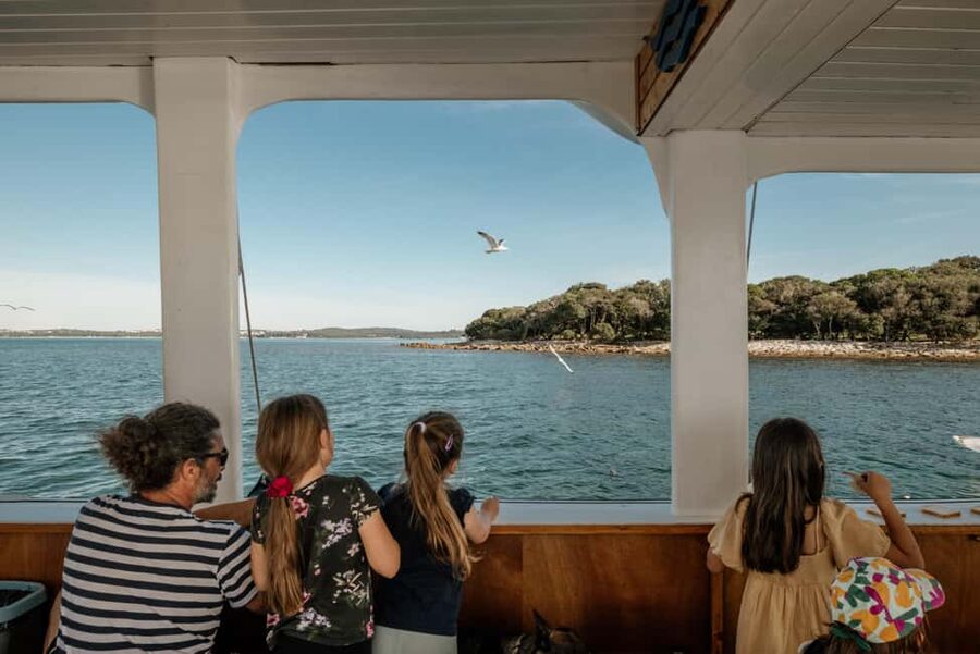 FAŽANA: DOLPHIN SAFARI - The 14-island Brijun area where dolphins rest and reproduce