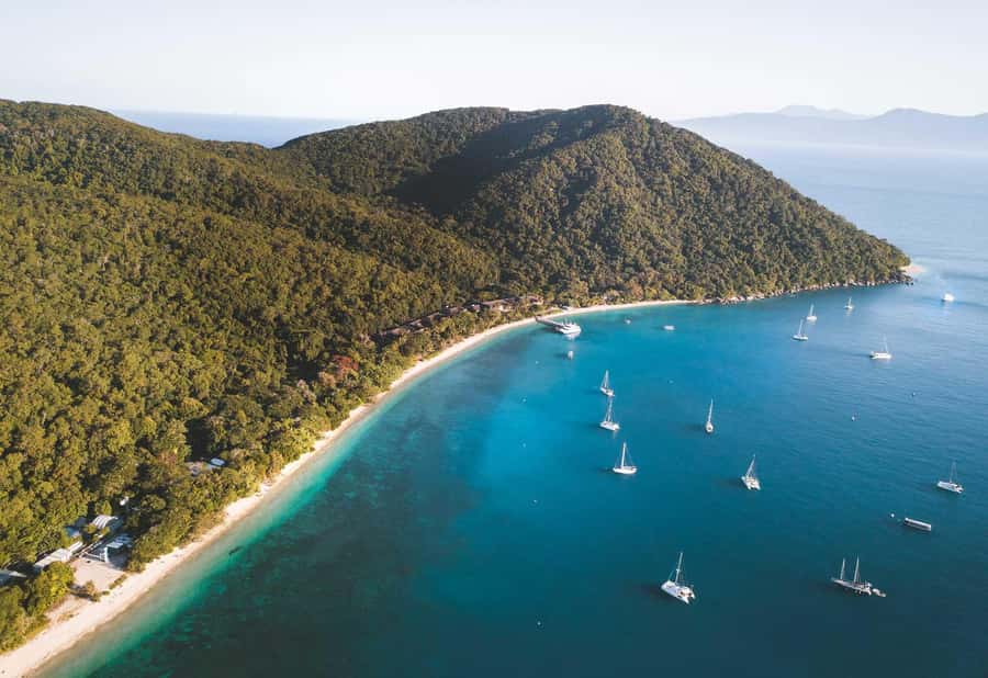 Fitzroy Island: Full-Day Ferry & Snorkel Safari Guided Tour - Key things to know before you go