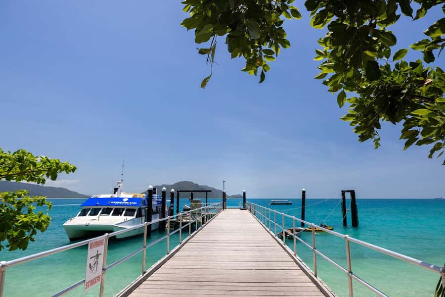 Fitzroy Island: Full-Day Ferry & Snorkel Safari Guided Tour - Fitzroy Island in one day: what the schedule really gives you