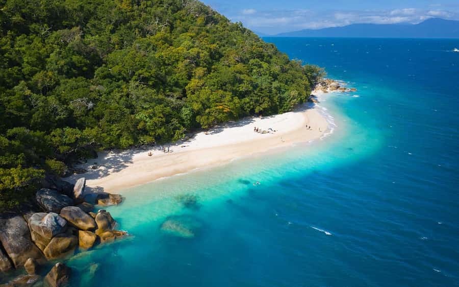 Fitzroy Island: Full-Day Ferry & Snorkel Safari Guided Tour - Your first hour on Fitzroy Island: get oriented, then go easy
