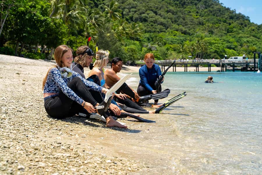 Fitzroy Island: Full-Day Ferry & Snorkel Safari Guided Tour - Price check: is $118 good value for this setup?