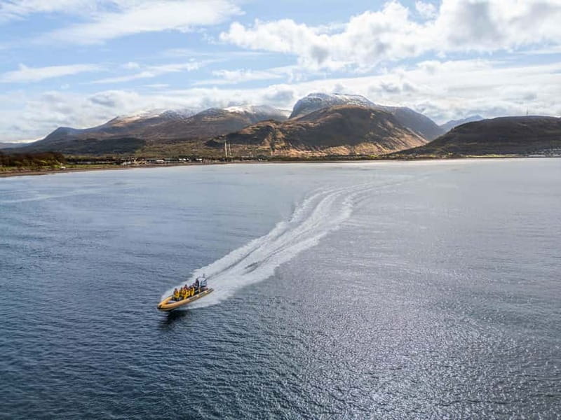 Fort William: 1hr Loch Safari Speedboat Tour - Why This 1-Hour Loch Safari Works So Well