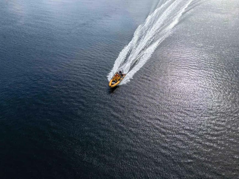 Fort William: 1hr Loch Safari Speedboat Tour - Wildlife Spotting: Seals, Birds, Dolphins, and the Big Maybe