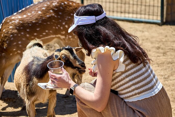 Fredericksburg Safari Tour With Wine Tasting - Who This Fredericksburg Safari + Wine Tasting Is Best For