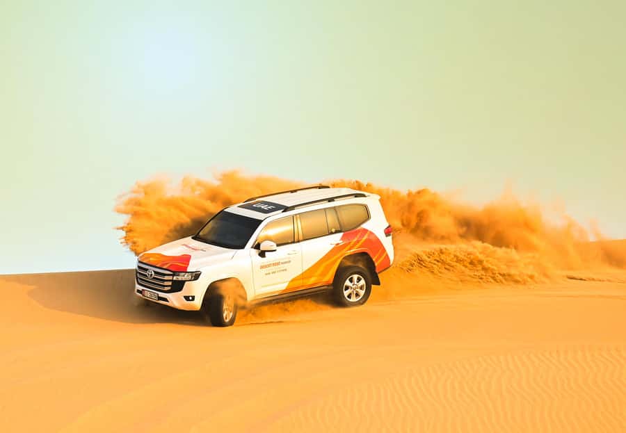 From Abu Dhabi: Dune Bashing Desert Safari - The camel farm stop: a quick breather that changes the pace