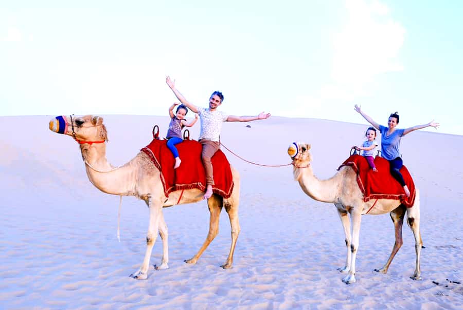 From Abu Dhabi: Dune Bashing Desert Safari - Dinner and drinks: what’s included, what you’ll pay for
