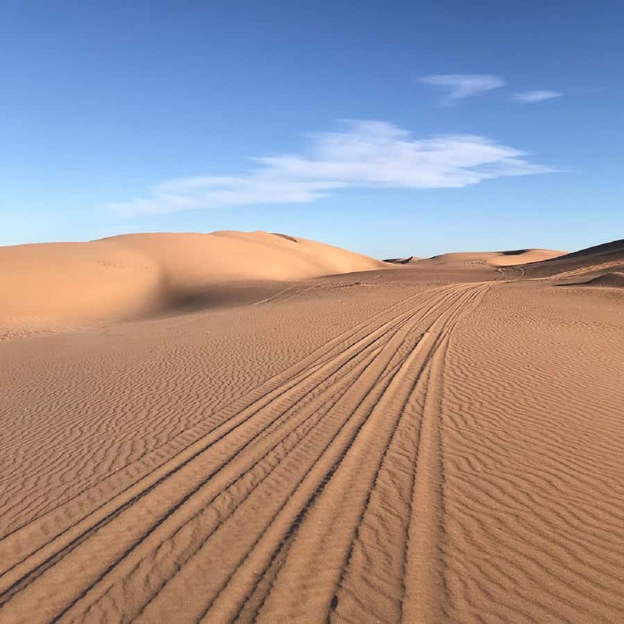 From Agadir: Jeep Desert Safari with Lunch and Camel Ride - The Big Idea: A Full-Day Circuit from Agadir to Sea, Mountains, and Dunes