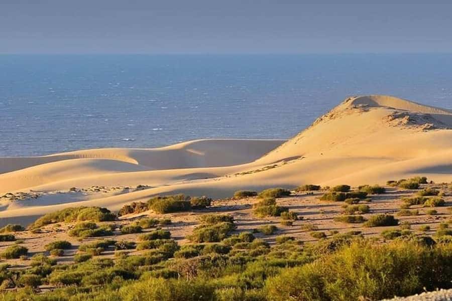 From Agadir: Jeep Desert Safari with Lunch and Camel Ride - Savage Beach and the Fishermen’s Caves: The Atlantic View That Feels Like a Movie Scene