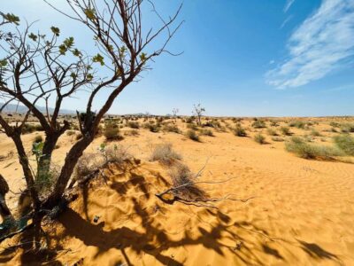 From Agadir: Jeep Desert Safari with Lunch and Camel Ride - Jeep 4x4 Time in the Massa Valley and Souss-Massa National Park