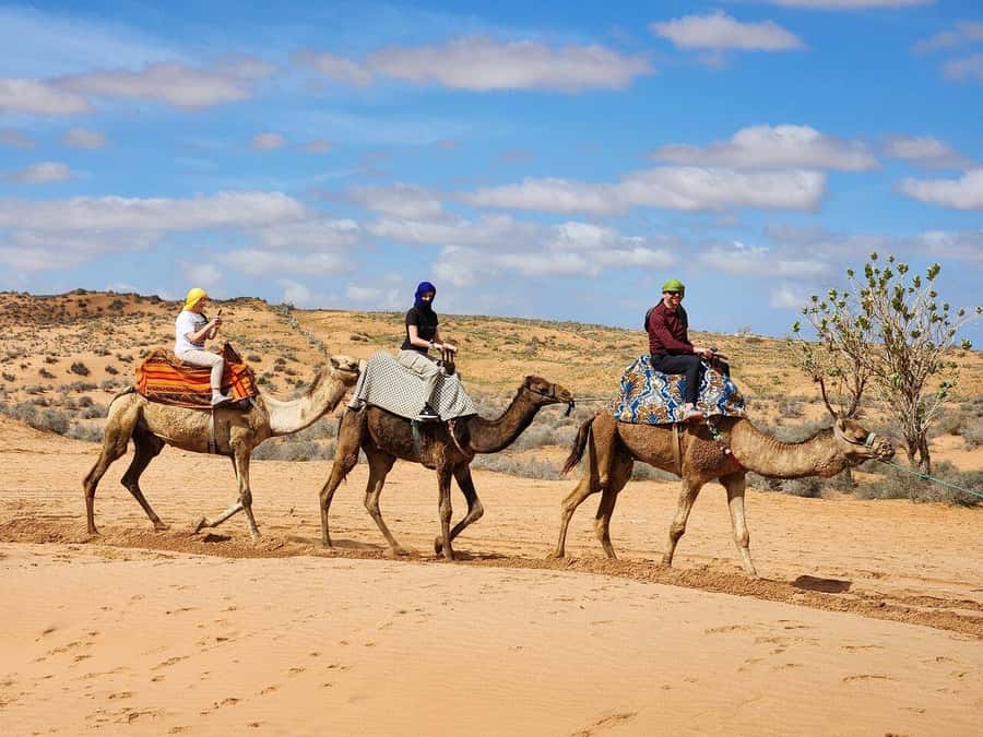 From Agadir: Jeep Desert Safari with Lunch and Camel Ride - Massa National Park and the Sous River: Birds, Water, and a Different Kind of Stop