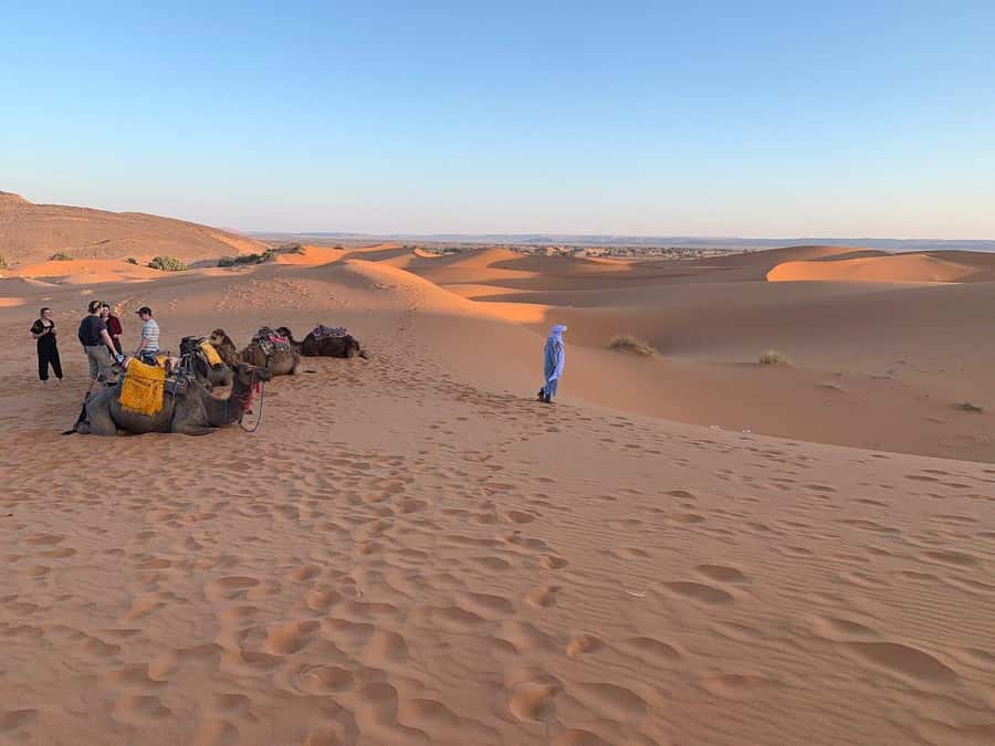 From Agadir: Jeep Desert Safari with Lunch and Camel Ride - Mini Sahara Dunes and Camel Ride: Photos, Bumps, and the Fun Factor