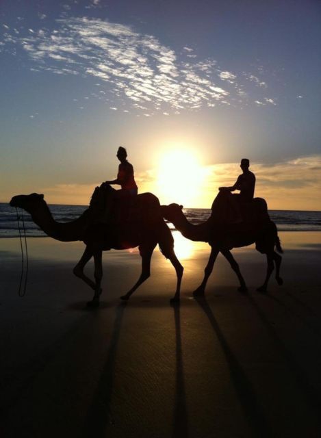 From Agadir/Taghazout: Buggy Safari Adventure & Moroccan Tea - What to watch for: speed limits, rocks, and roadside vibes
