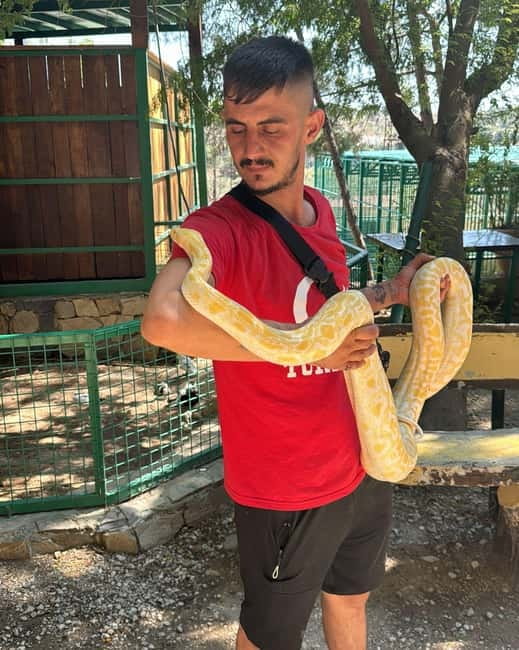 From Alanya: Lion Safari & Green Canyon Splash Feast w/Lunch - Why this Lion Safari and Green Canyon day makes sense for the money