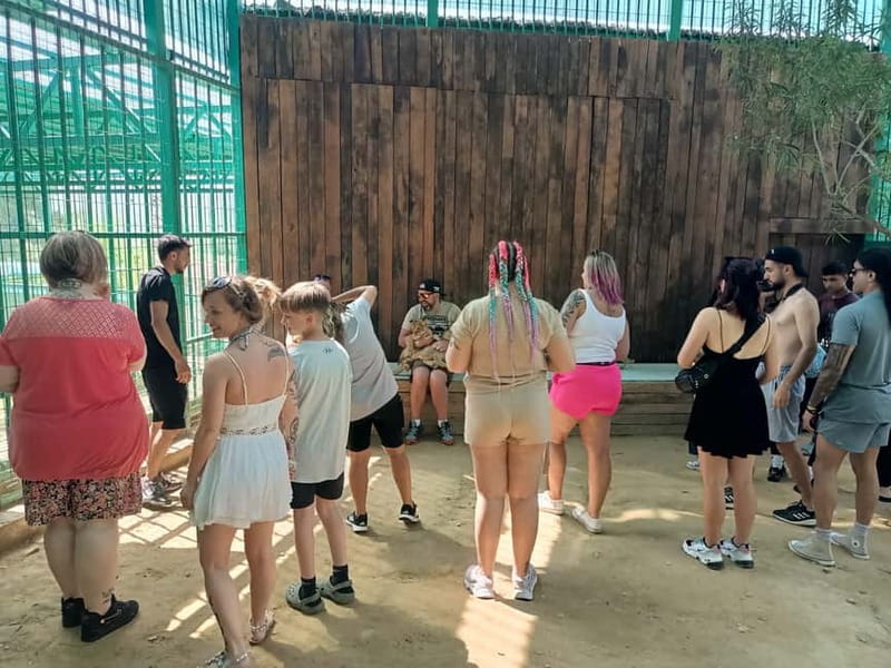 From Alanya: Lion Safari & Green Canyon Splash Feast w/Lunch - Lion Safari close-up (45 minutes): optional zoo fee and photo expectations