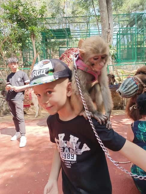 From Alanya: Lion Safari & Green Canyon Splash Feast w/Lunch - Green Canyon vista, the Gözleme stop, and the foam-food moment