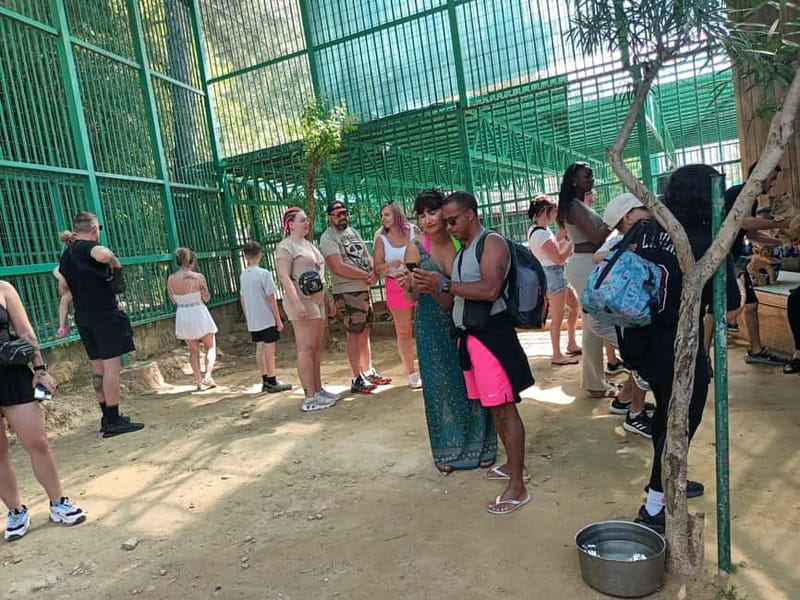 From Alanya: Lion Safari & Green Canyon Splash Feast w/Lunch - Dam Lake boat cruise + lakeside BBQ lunch: the calm part of the day