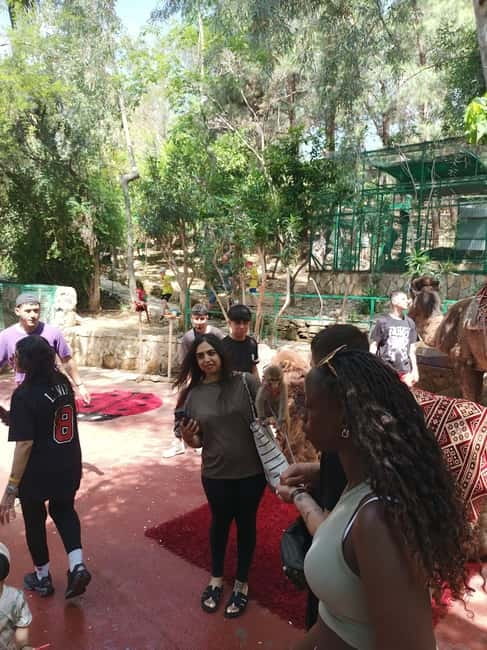 From Alanya: Lion Safari & Green Canyon Splash Feast w/Lunch - Packing list that actually helps: get wet, get comfortable, stay sane