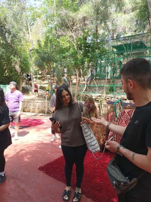 From Alanya: Lion Safari & Green Canyon Splash Feast w/Lunch - Hotel pickup from Alanya to Manavgat: how the day starts right
