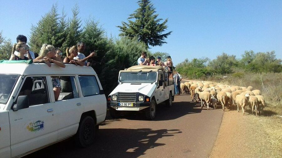From Albufeira: 4x4 Off-Road Safari & Vineyard Wine Tasting - Off-Road Safari Time in Albufeira: What the 4 Hours Really Feels Like