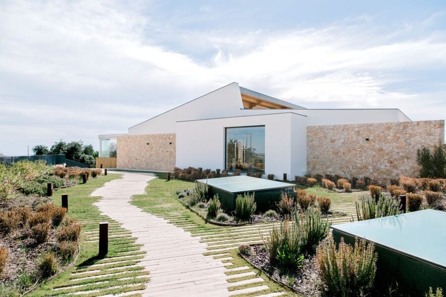 From Albufeira: 4x4 Off-Road Safari & Vineyard Wine Tasting - Cork Oak Country: Why That In-Transit Stop Matters