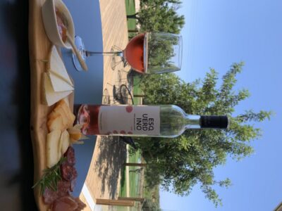 From Albufeira: 4x4 Off-Road Safari & Vineyard Wine Tasting - The 4x4 Route: Villages, Orange Groves, and Cork-Oak Forests