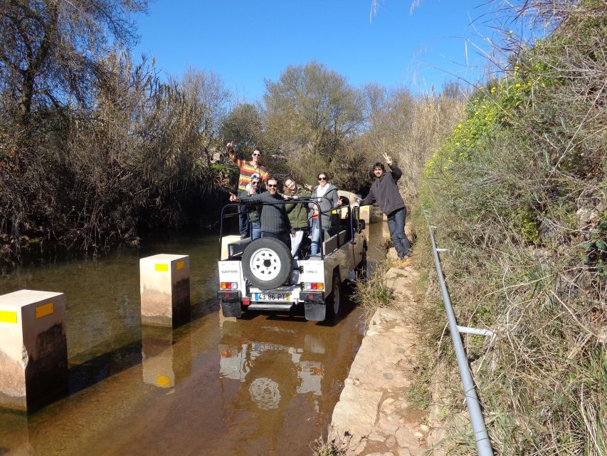 From Albufeira: Half-Day Algarve Jeep Safari - Heading out from Albufeira: what this tour feels like in the first 15 minutes