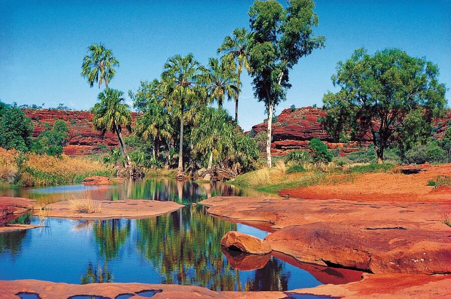 From Alice Springs: Palm Valley 4WD Outback Safari + Picnic - A Full Day of 4WD Tracks and Desert Oases