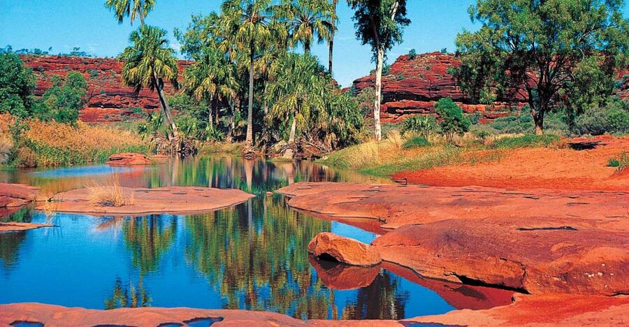 From Alice Springs: Palm Valley 4WD Outback Safari + Picnic - West MacDonnell Ranges and the Dry Bed of the Ancient Finke River