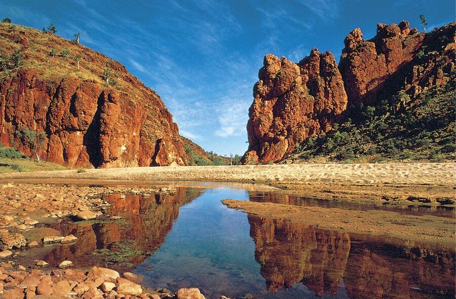 From Alice Springs: Palm Valley 4WD Outback Safari + Picnic - Palm Valley Walks: Cycads, Cabbage Palm, Rock Pools, and the Amphitheatre