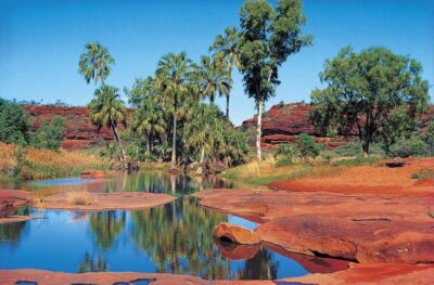 From Alice Springs: Palm Valley 4WD Outback Safari + Picnic - Hermannsburg Stop: Aboriginal Art, a Real Sense of Place, and Scones