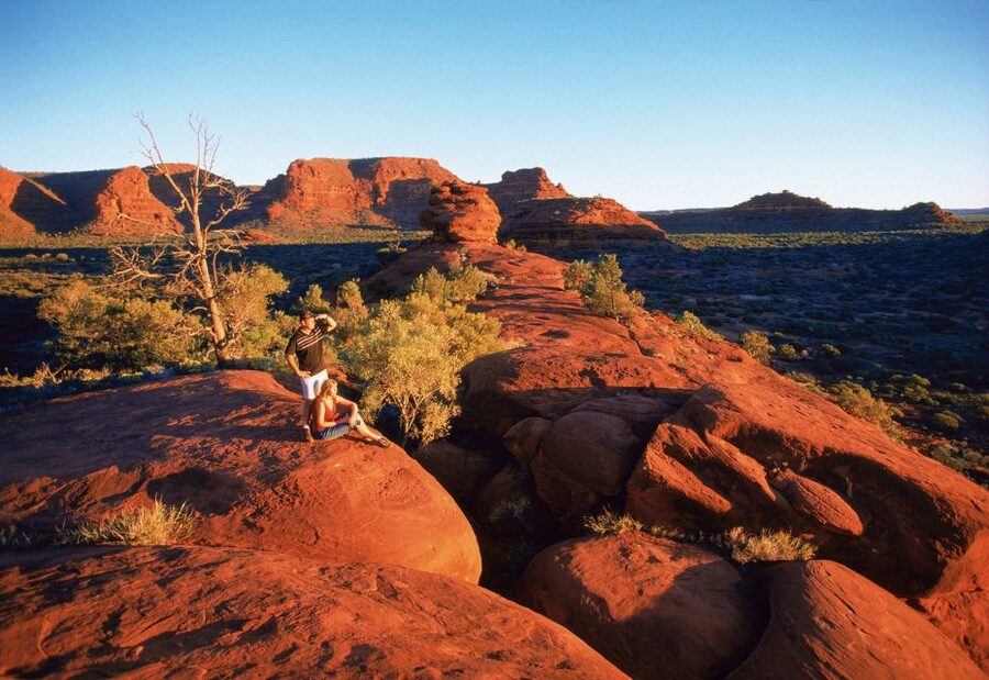From Alice Springs: Palm Valley 4WD Outback Safari + Picnic - Finke Gorge National Park Picnic: Relaxing in Rugged Rock Country