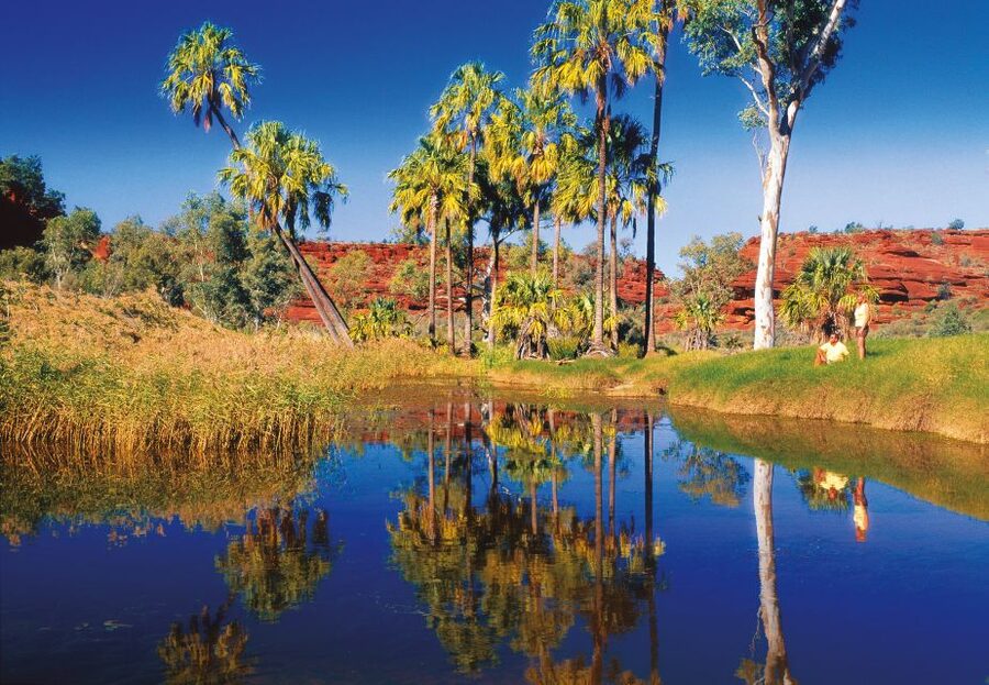 From Alice Springs: Palm Valley 4WD Outback Safari + Picnic - Who This Tour Suits Best—and Who Should Skip It