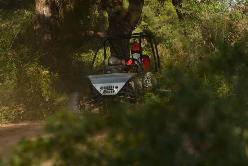 From Antalya:Near City Center Desert Buggy Safari - Lara Beach desert driving: what this tour really feels like