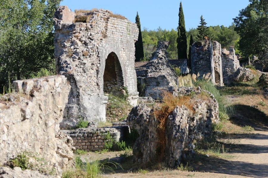 From Arles: Alpilles Regional Park Provence 4x4 Safari - On the Drive: Roman Ruins, Vines, and Olive Groves You Can Actually Spot