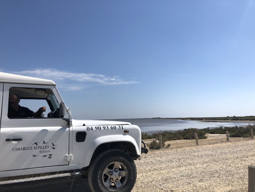 From Arles: Half-Day 4x4 Camargue Safari - Should You Book the Arles to Camargue 4x4 Safari?