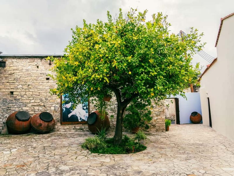 From Ayia Napa: Grand Tour Jeep Safari with Lunch - Pano Platres Lunch: A Proper Mountain Taverna Pause