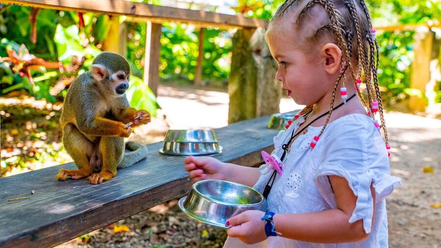 From Bayahibe: Half Day Monkeyland Safari - Half Day Monkeyland Safari: what makes this $95 trip feel worthwhile