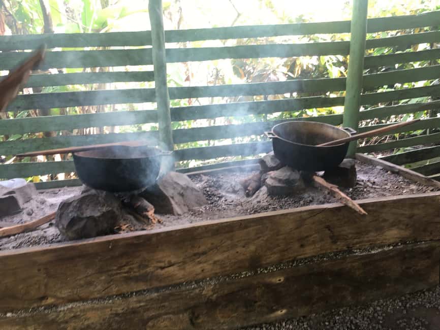From Bayahibe: Half Day Monkeyland Safari - Who should book Monkeyland from Bayahibe (and who should skip it)