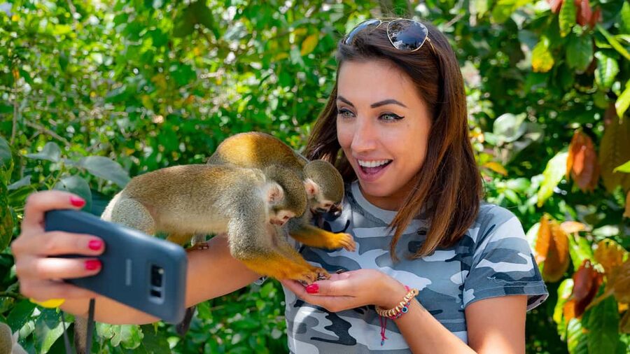 From Bayahibe: Half Day Monkeyland Safari - Rules, health limits, and allergy warnings you should take seriously