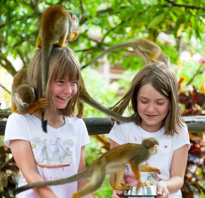 From Bayahibe: Half Day Monkeyland Safari - The typical Dominican house stop: coffee, cocoa, and living off the land