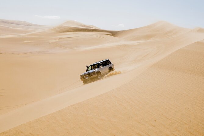 From Cairo 4x4 Safari, Camel Ride, Magic Lake, Waterfalls & Lunch - Key Things That Make This Safari Worth It
