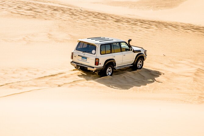 From Cairo 4x4 Safari, Camel Ride, Magic Lake, Waterfalls & Lunch - Who This Tour Is Best For (and Who Should Think Twice)